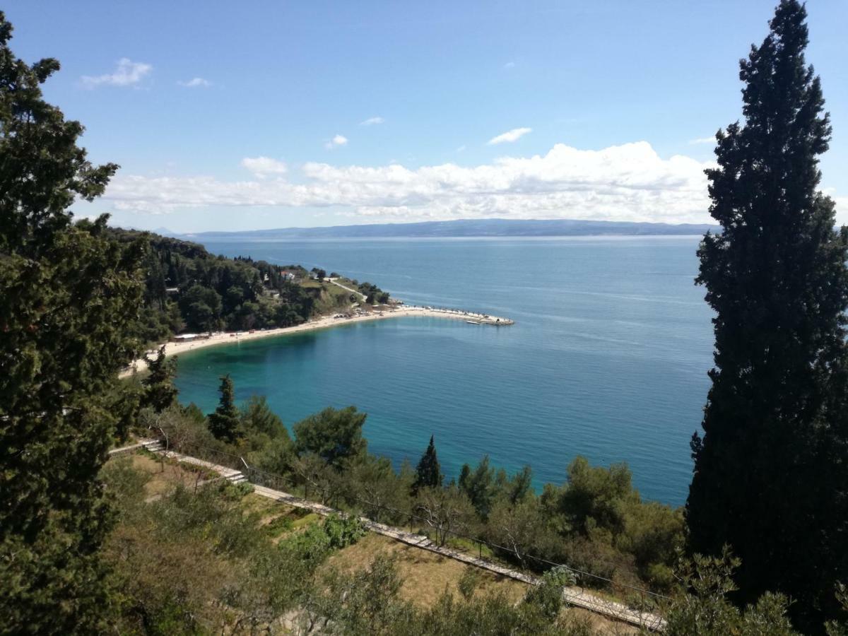 Apartment Bellina Split Zewnętrze zdjęcie